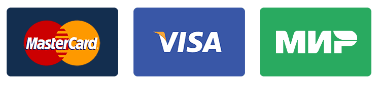 На сайте принимаются все виды электронных карт МИР, Visa и MasterCard 