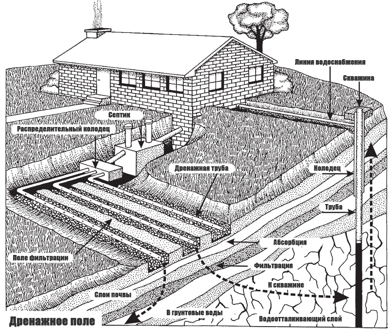 Дренажное поле для канализации схема