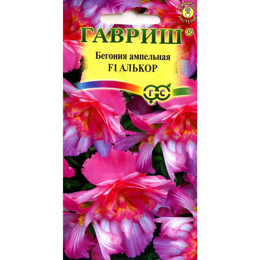 Бегония Семена Интернет Магазин