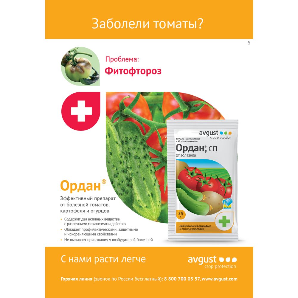 Препарат ордан отзывы. Ордан от болезней томатов огурцов. Ордан 25 гр. Ордан 25г август (от фитофтороза ) х200. Ордан 12,5г август (от фитофтороза ) х200.